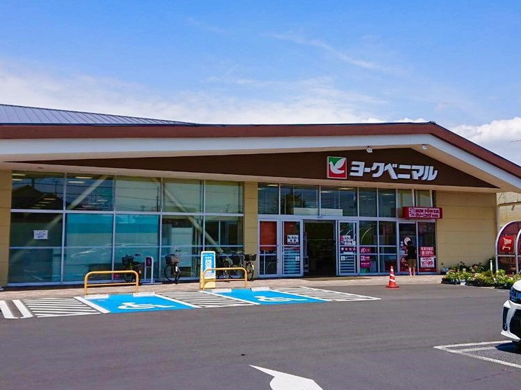 ヨークベニマル新原店(1000m)-ヨークベニマル新原店まで徒歩13分（約1000ｍ）