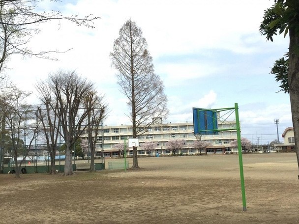 石川中学校(800m)-