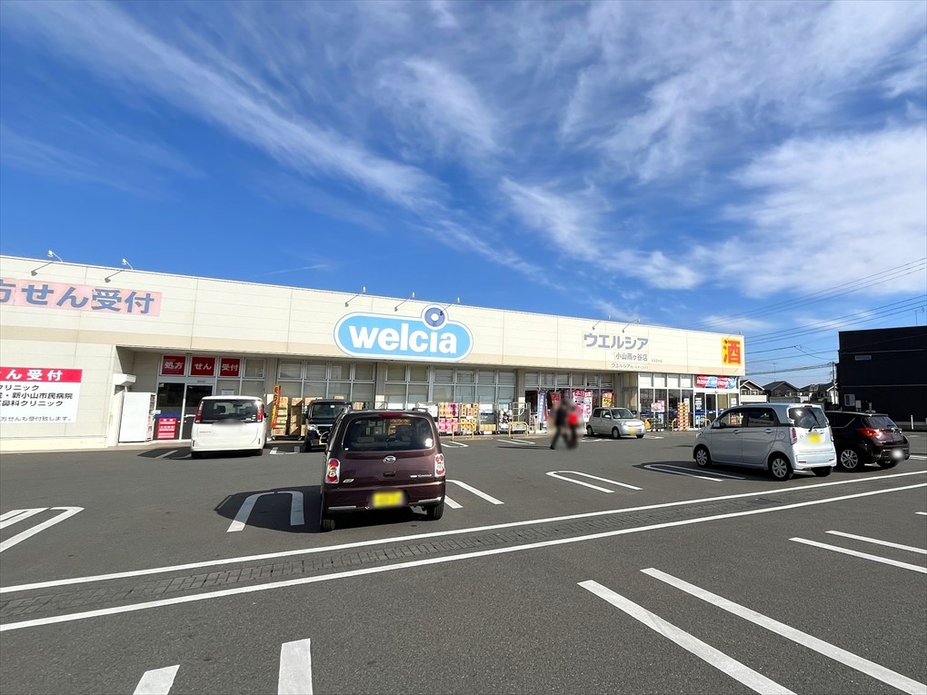 ウエルシア小山雨ケ谷店(350m)-