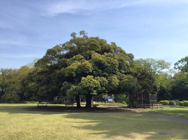 群馬の森(260m)-徒歩約4分