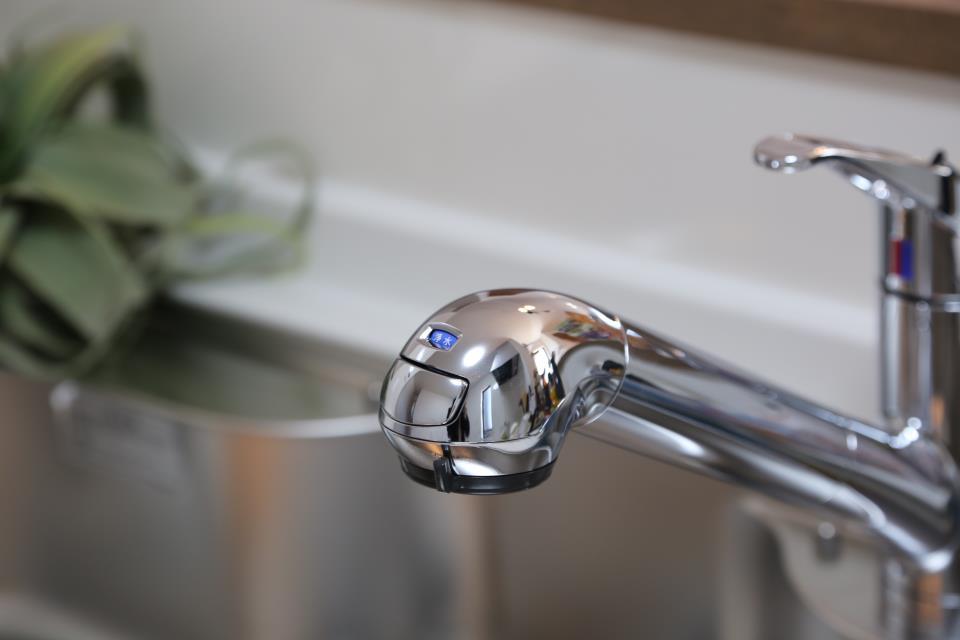 食器や野菜などの水洗いがスムーズにこなせるハンドシャワーのついた水栓です。浄水器一体型の便利な設備です。（2025年2月撮影）