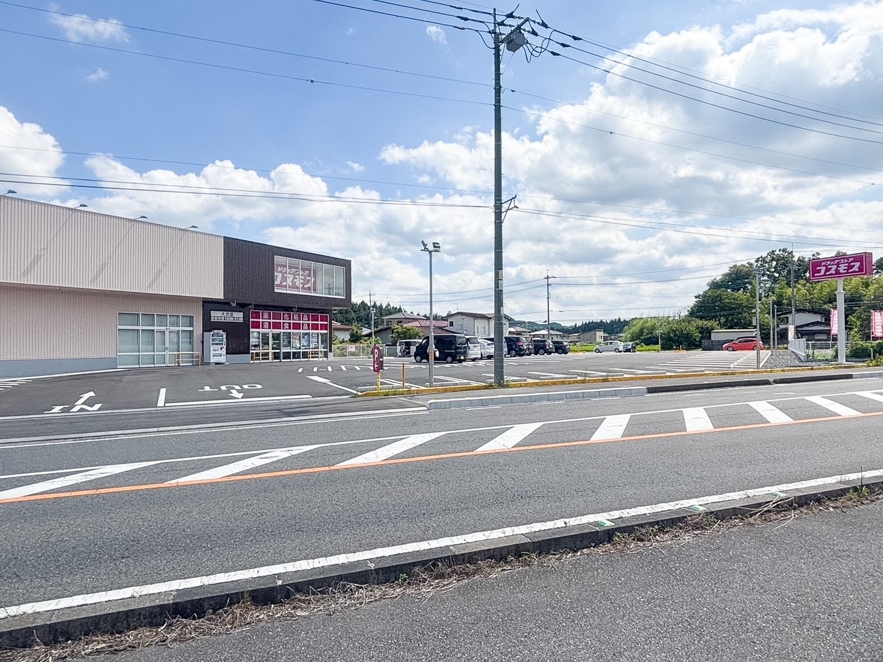 ドラッグストアコスモス大沢店(3100m)-