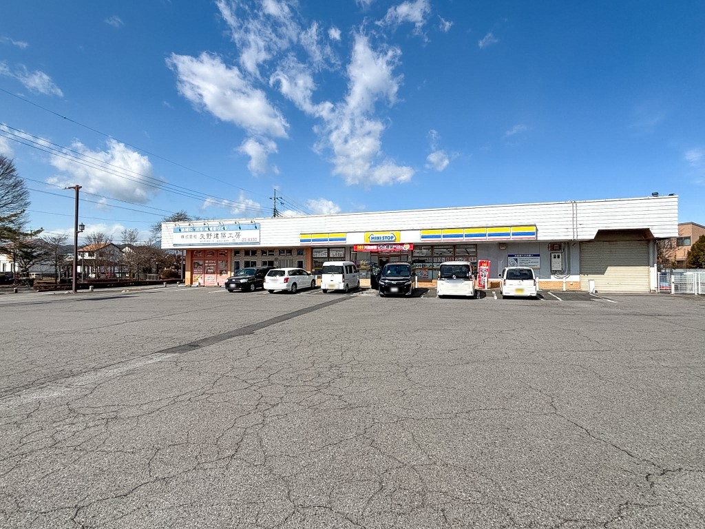 ミニストップ下野大沢駅前店(250m)-