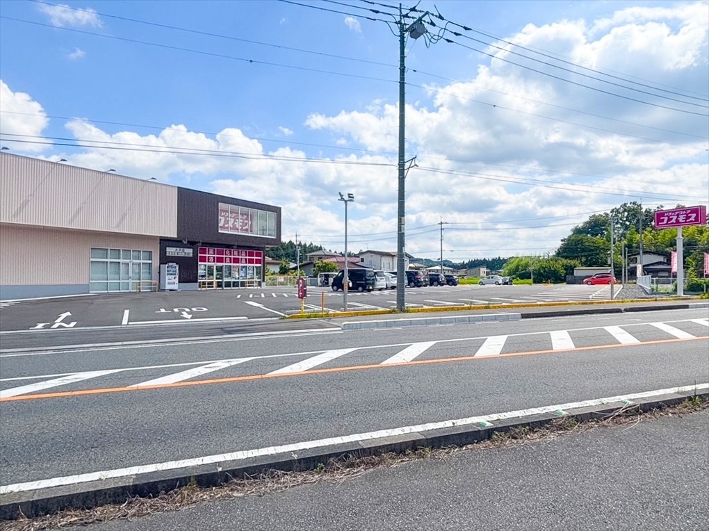 ドラッグストアコスモス大沢店(1700m)-