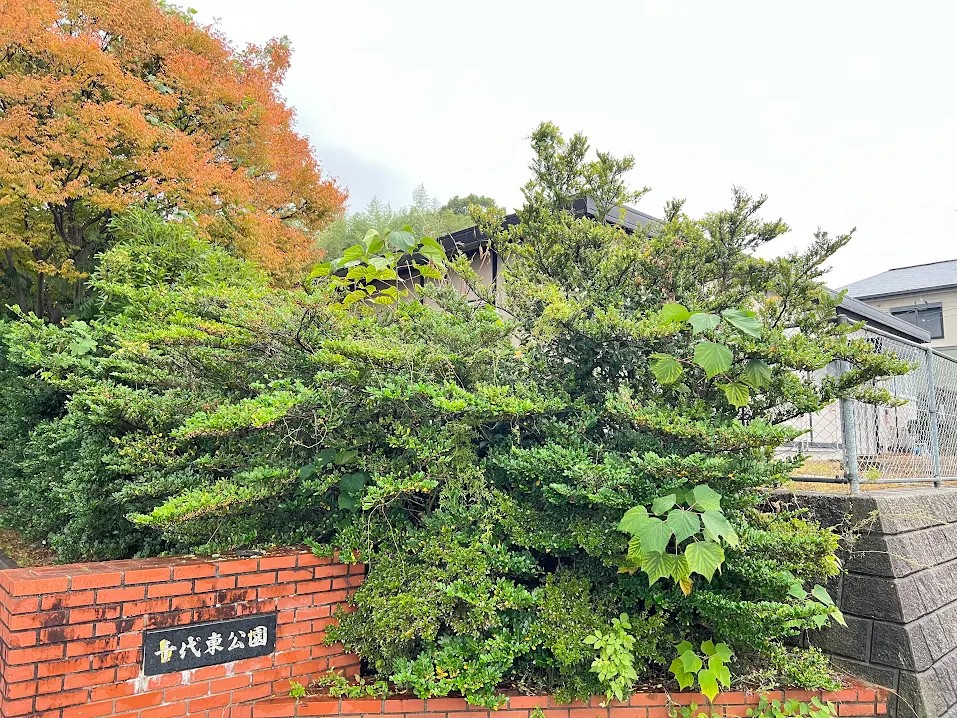 千代東公園(230m)-