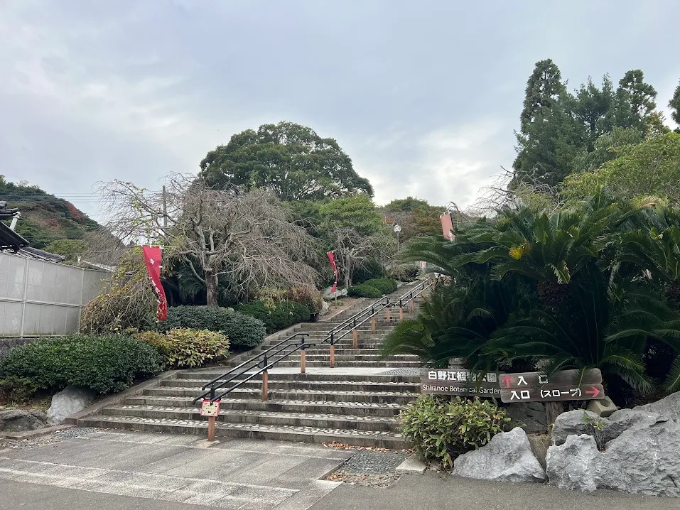 白野江植物公園(550m)-