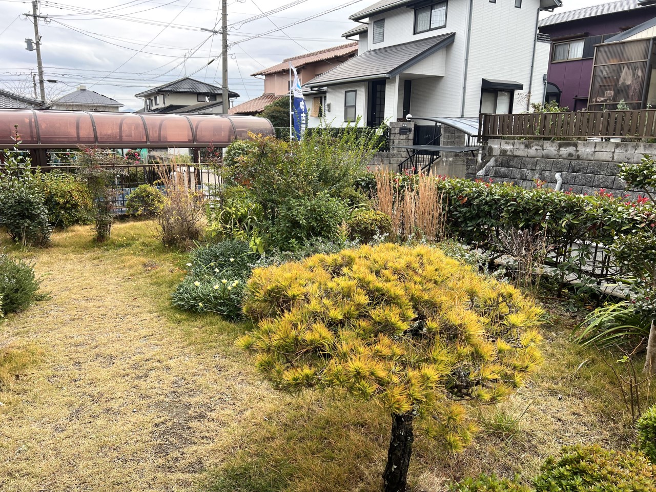 ※現況販売となります。（２０２５年１２月撮影）