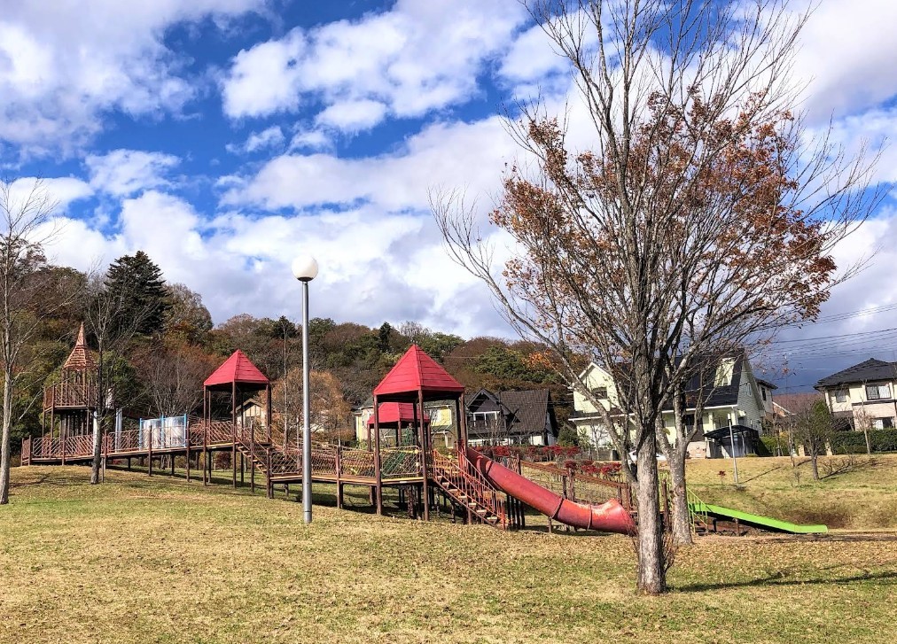 紫山公園(1100m)-