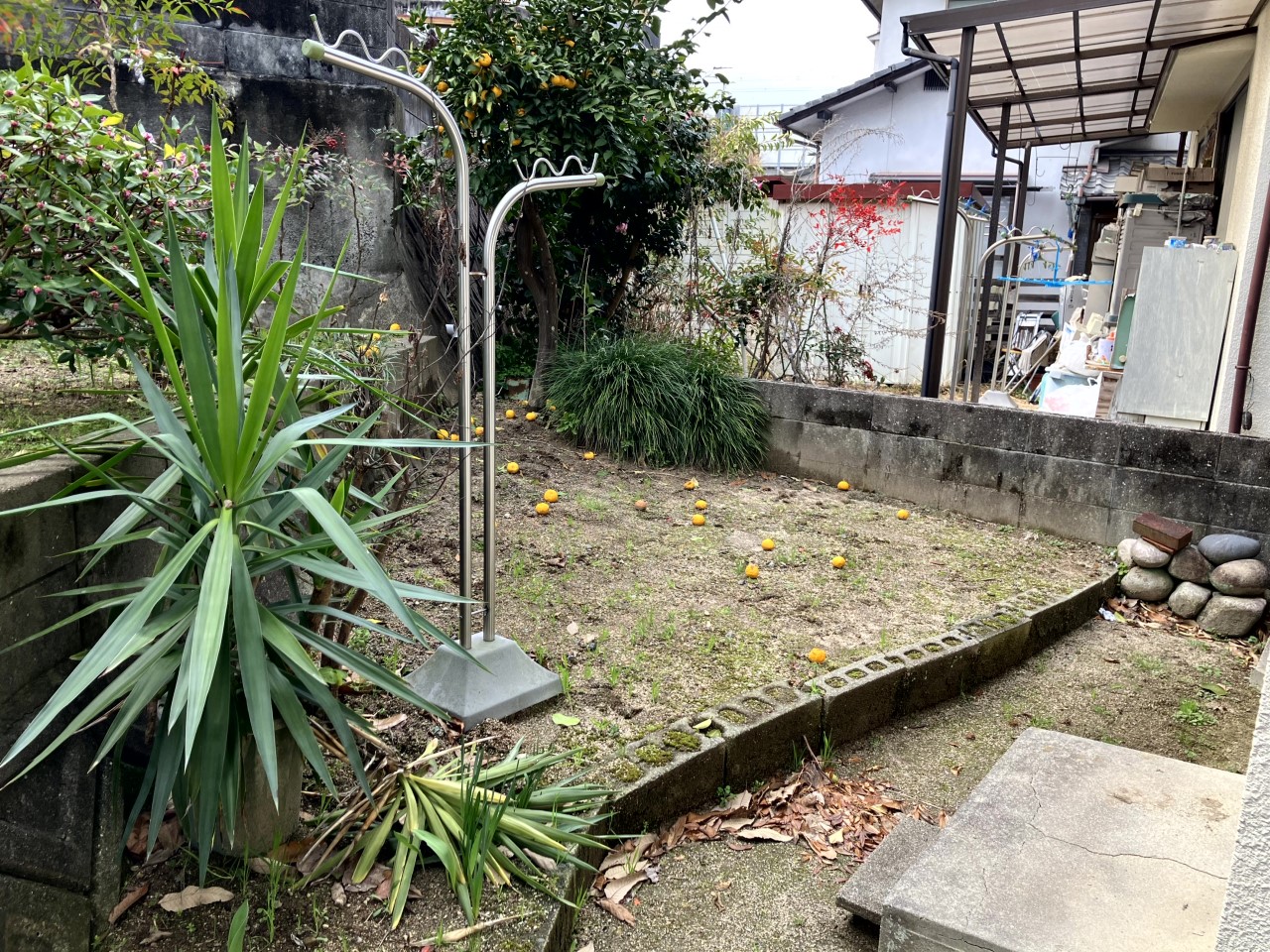 【庭】布団を干したり、家庭菜園にも使えるお庭です♪※2026年4月撮影