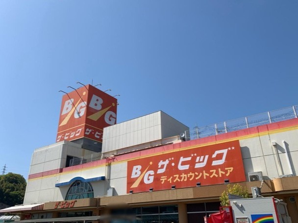 ザ・ビッグ宮内店(700m)-