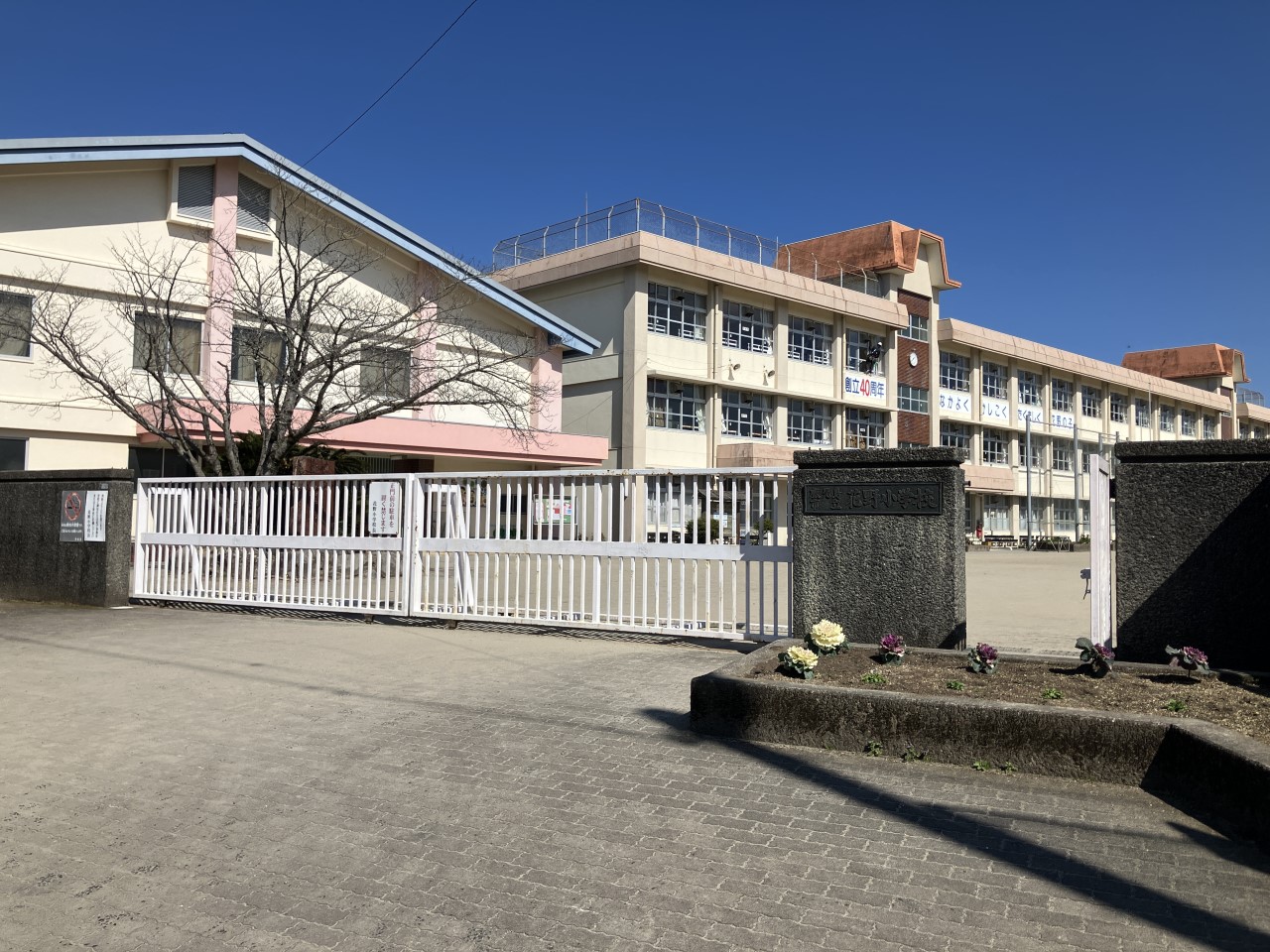 花野小学校(1500m)-
