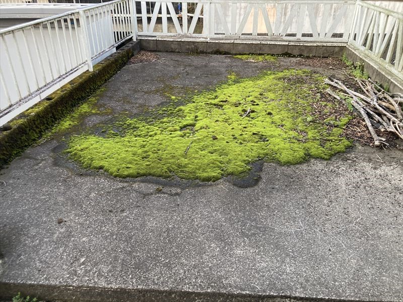 【外観】※現況販売となります（2026年4月撮影）お車2台駐車可能です♪