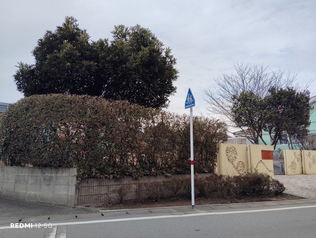 ほくぶ幼稚園(1700m)-