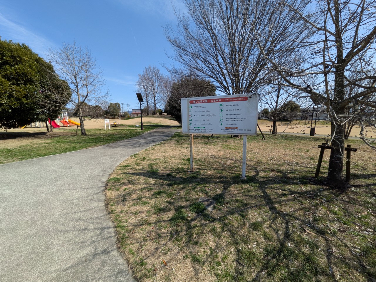 憩いの森公園(1000m)-