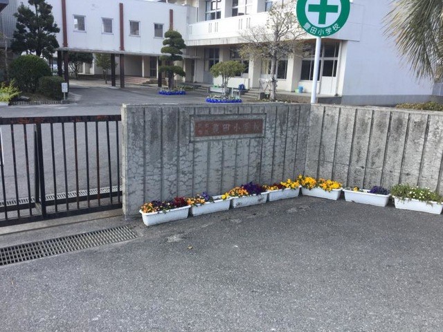 熊本市立豊田小学校(2500m)-