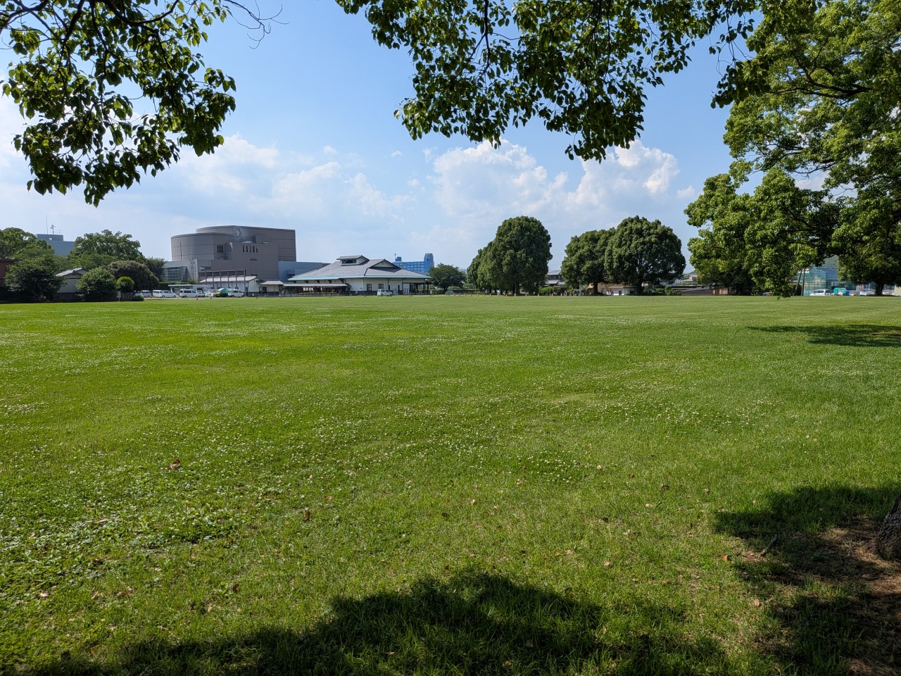 植木中央公園(700m)-