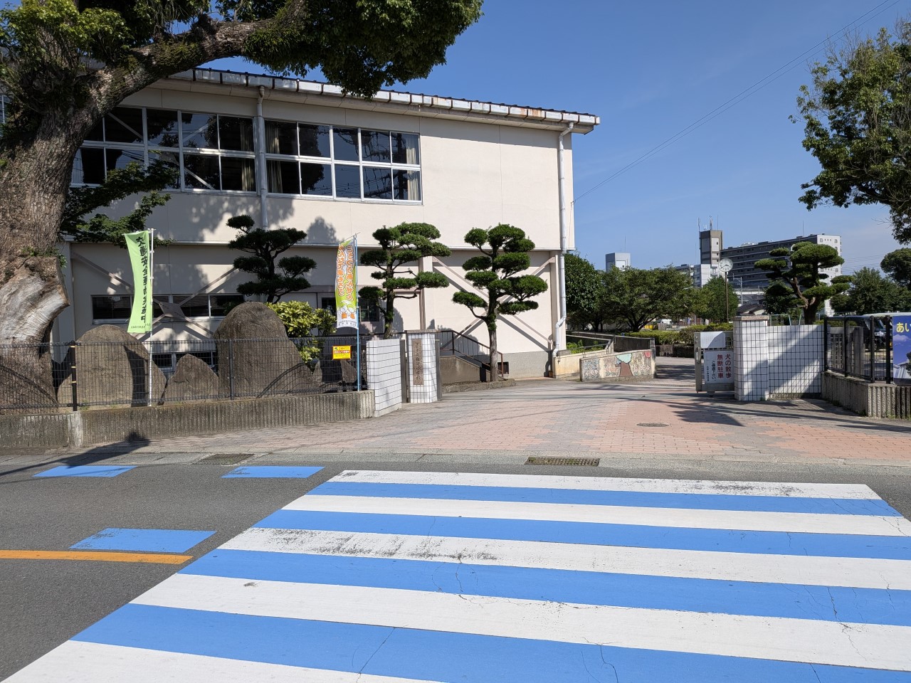 熊本市立白坪小学校(300m)-