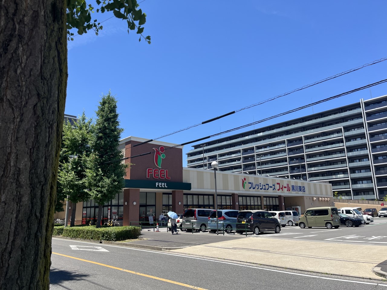 フィール黒川東店(650m)-