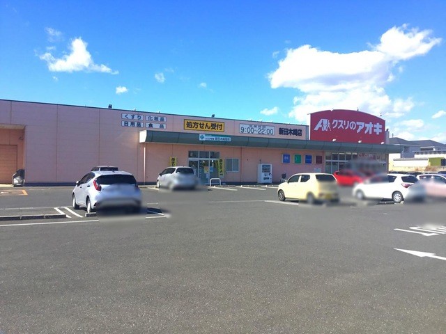 クスリのアオキ新田木崎店(1447m)-（徒歩約19分）