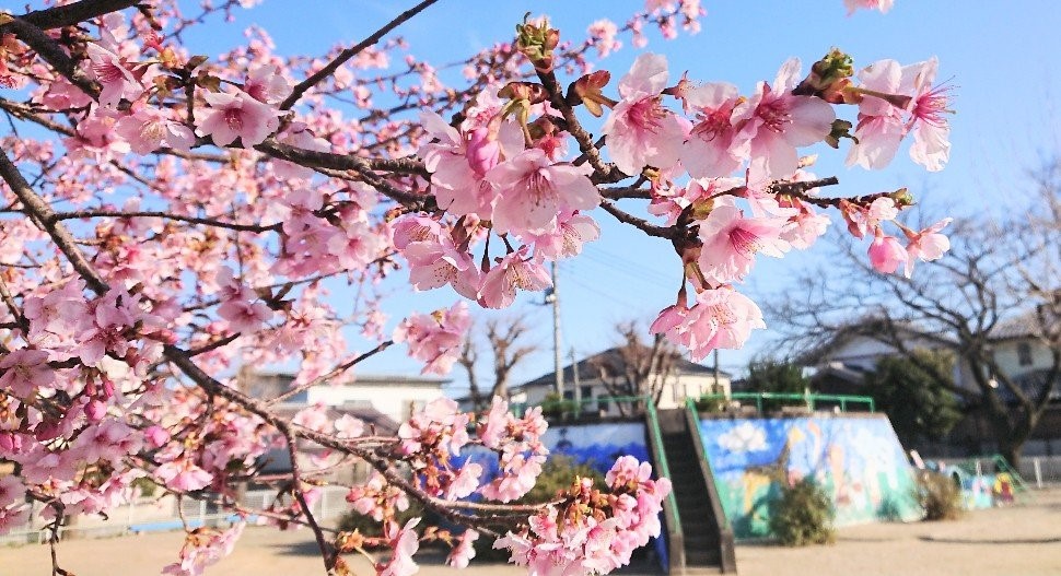 前箱田公園(210m)-