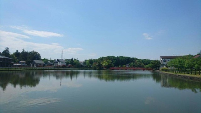 大沼公園(100m)-