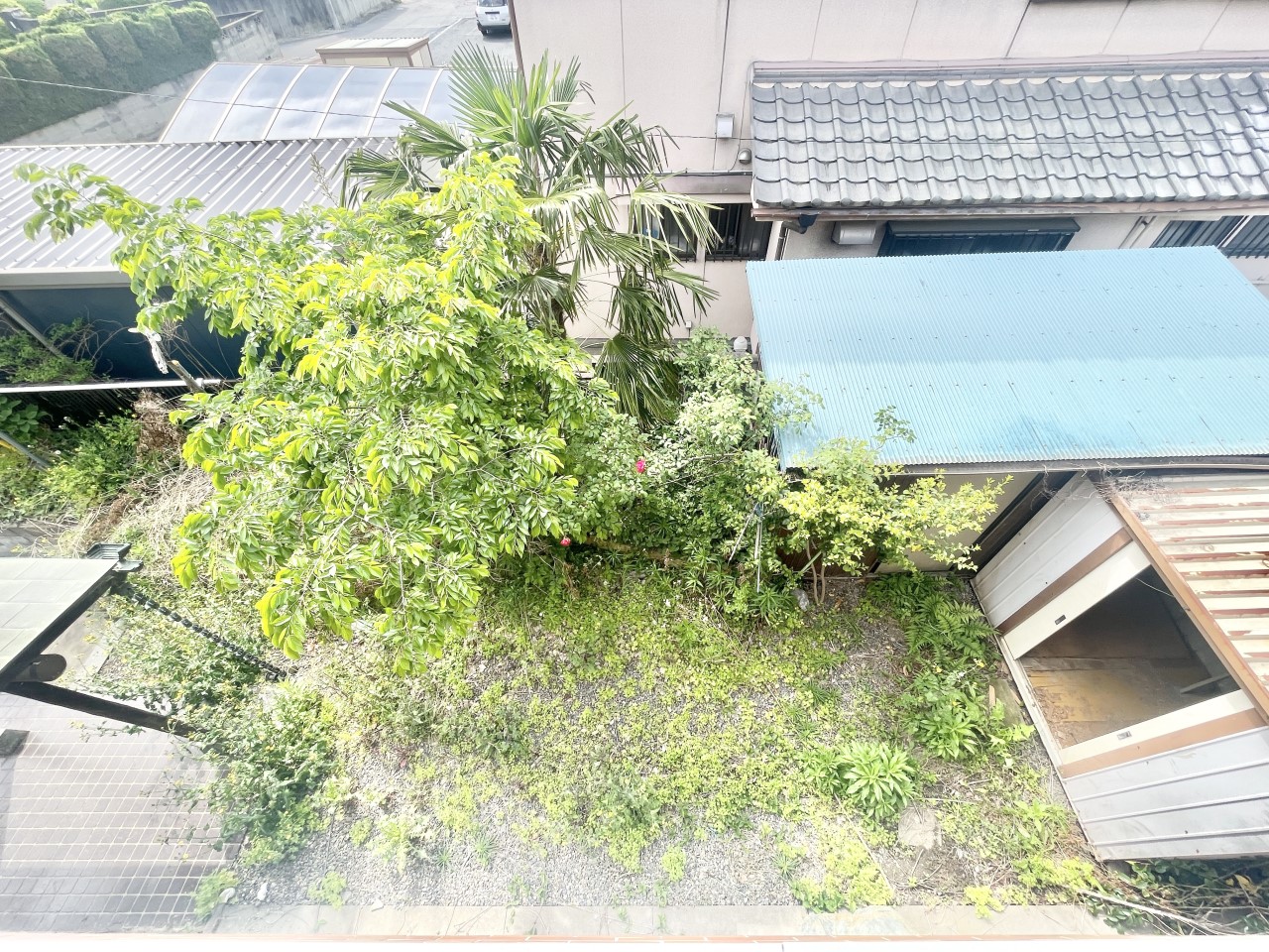 ◆お庭（リフォーム中）｜リフォーム中でもご案内可能です。