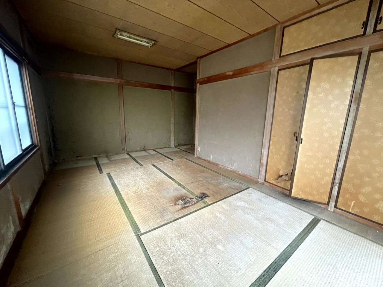 【2F和室】※現況販売となります。(2026年3月撮影)9.9帖の広々和室♪布団を並べて川の字で寝られる広さです♪