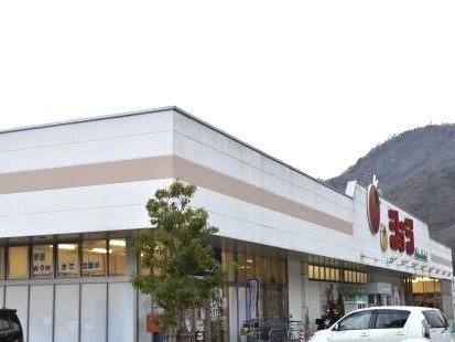 ショージみどり坂店(600m)-