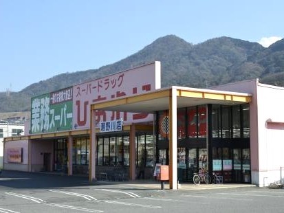 スーパードラックひまわり瀬野川店(1100m)-