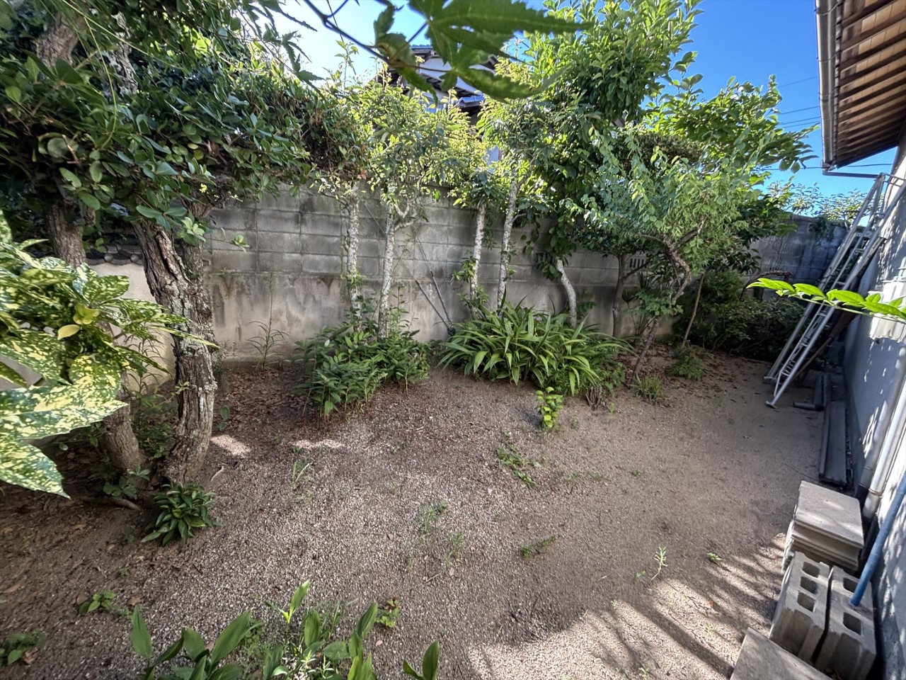 《庭》ガーデニングや家庭菜園も楽しめます♪※リフォーム前写真(2025年10月撮影)