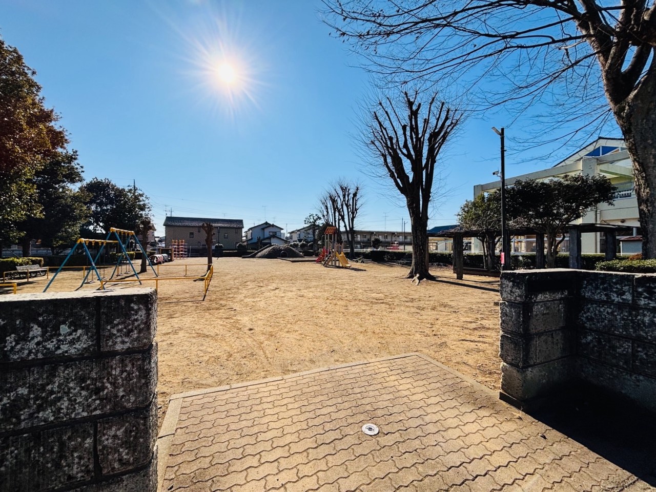 美園町公園(50m)-