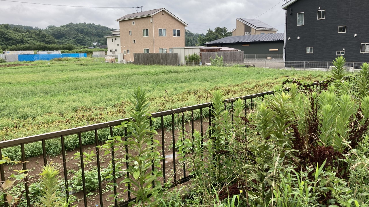*外観|2025年8月撮影。開放的な田園風景でスローライフが楽しめます♪